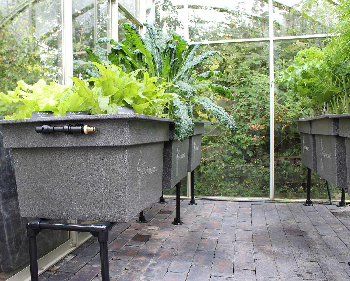 raised planters in a greenhouse