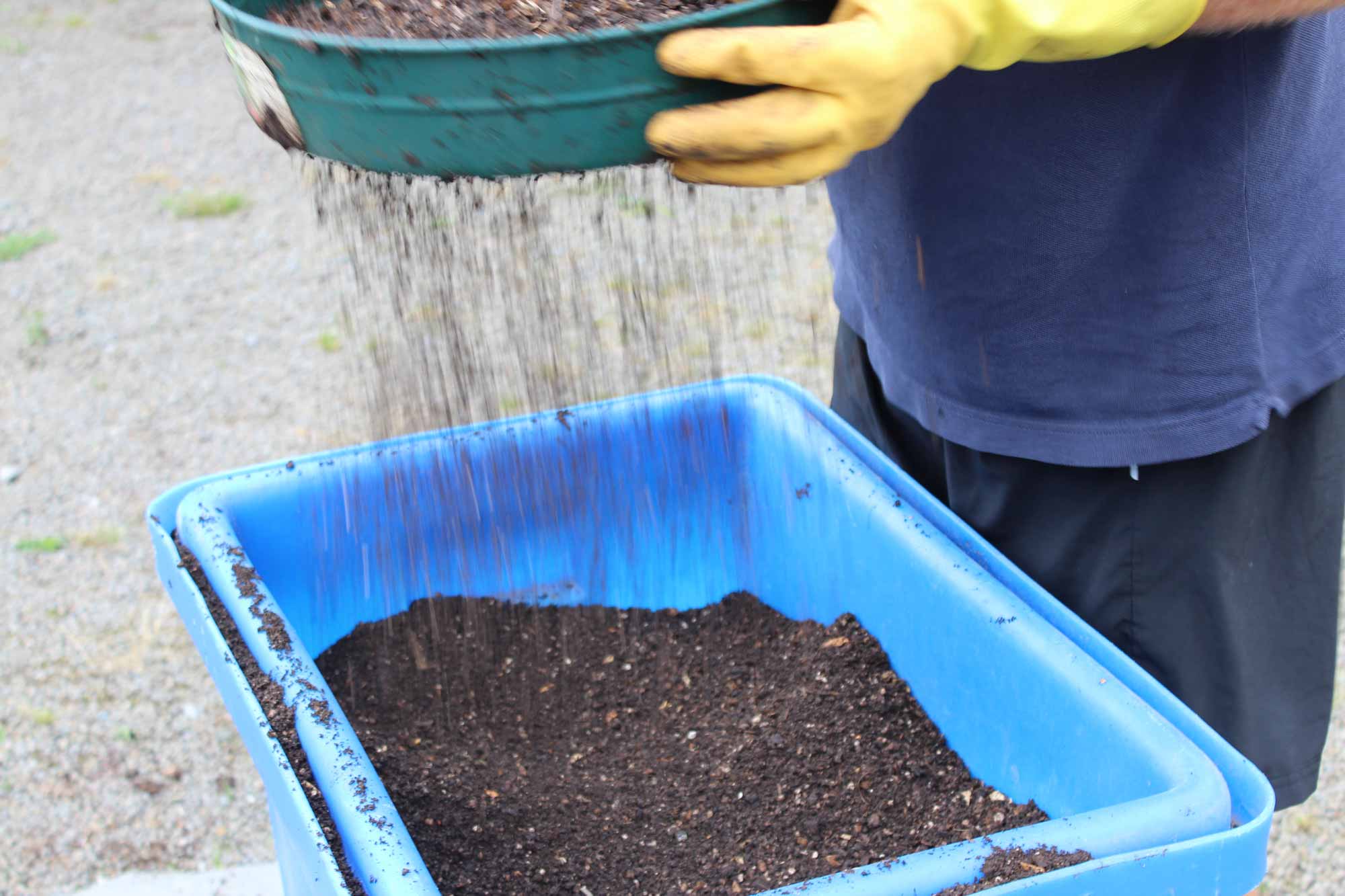 Sieving soil to sort texture. 