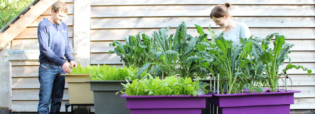 Ergrownomics raised planters are a great alternative to raised beds!